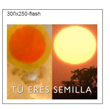 300-250-ads-flash