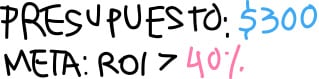 presupuesto-y-meta-roi